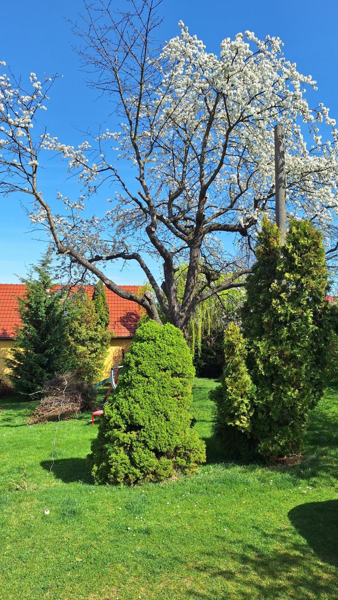 Prague Zbraslav Old Garden Praga Exterior foto